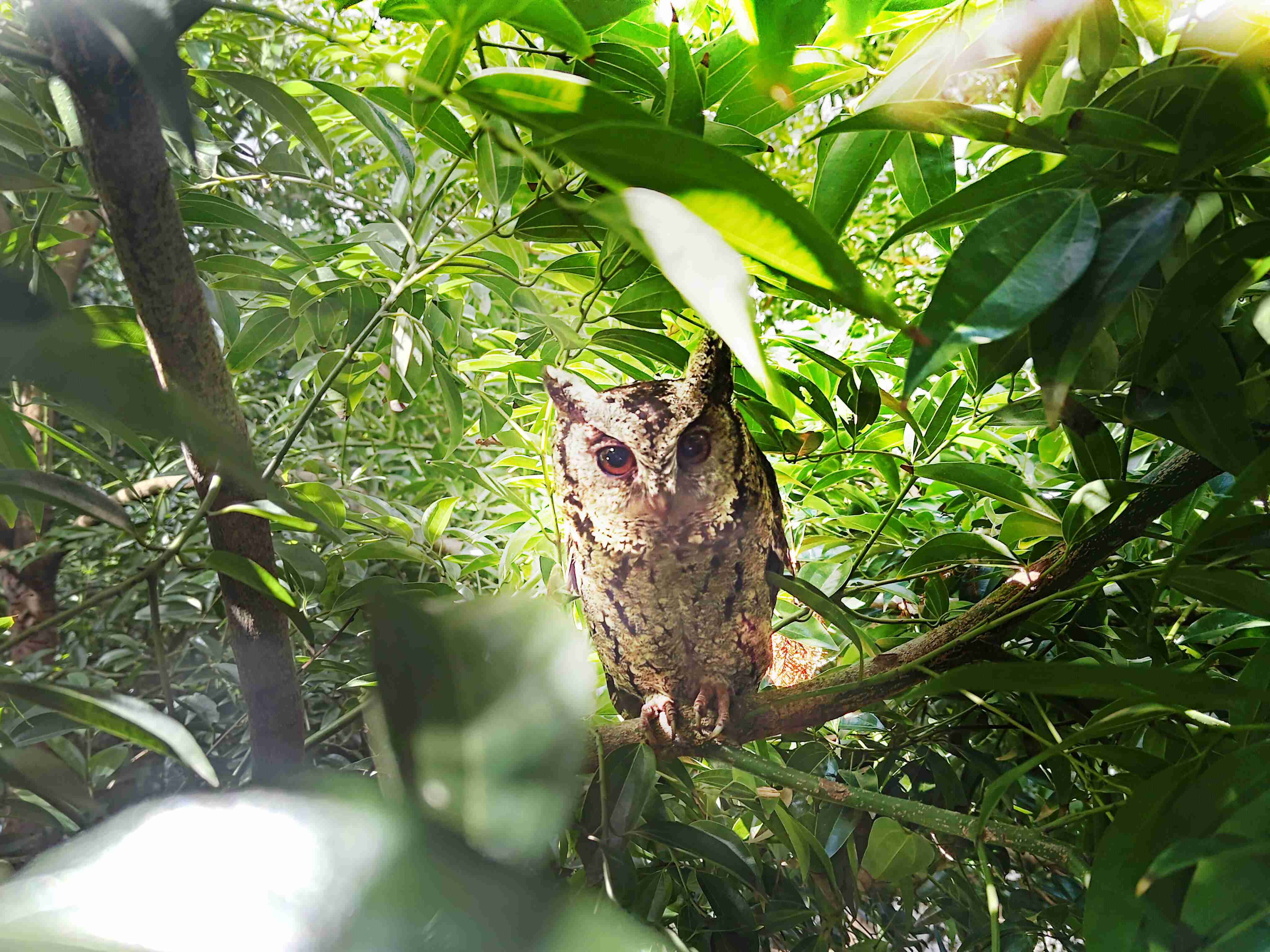 PA直营致力提倡净零绿生活，，，，16年以来在全球各厂区植树逾百万棵，，，造就各厂区树木蔚然成林，，，犹如森林工厂，，，，成为许多生物的栖息地